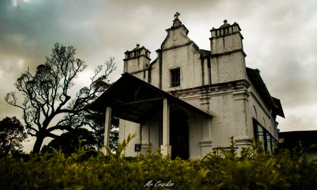 Beauty in every picture