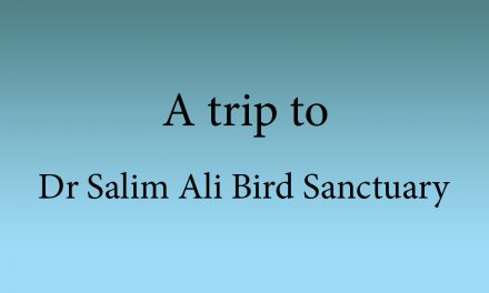 A trip to Dr Salim Ali Bird Sanctuary