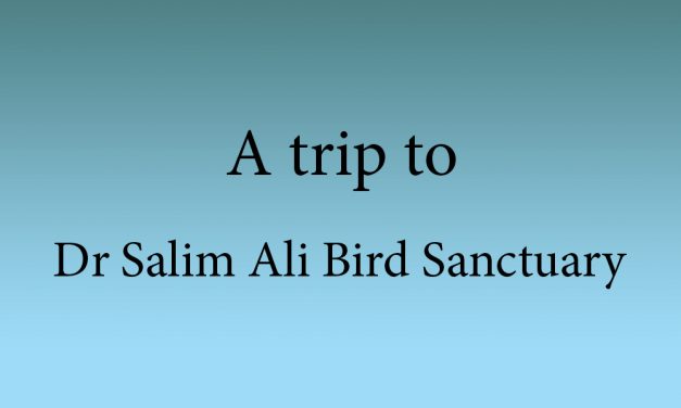 A trip to Dr Salim Ali Bird Sanctuary