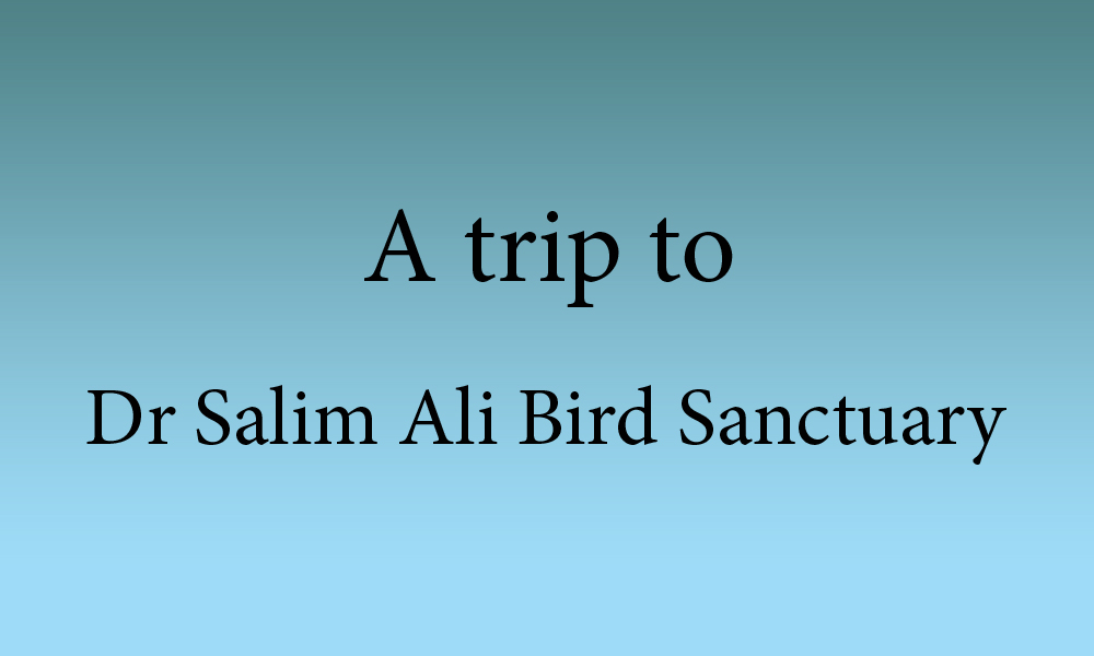 A trip to Dr Salim Ali Bird Sanctuary