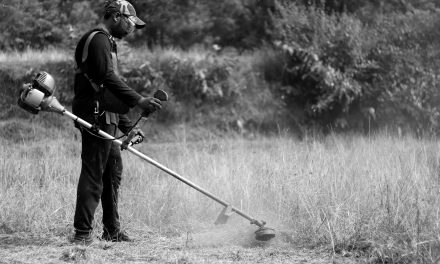 Man at work