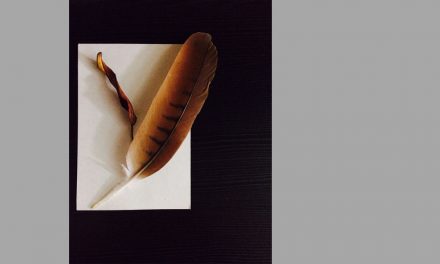 Feather and Leaf