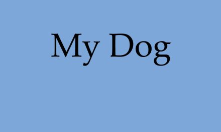 My Dog