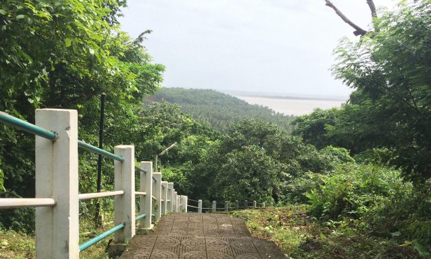 Black, white and colour