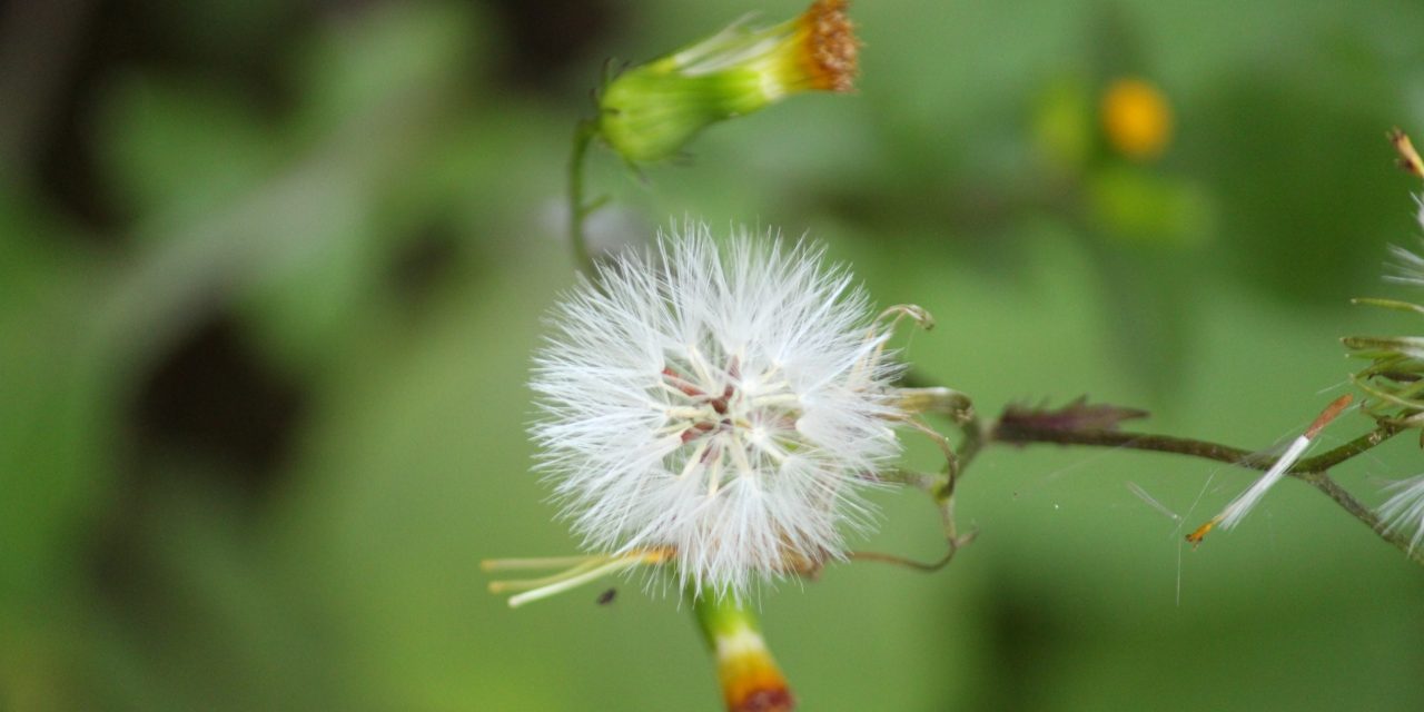 Picture by Jody Wisby