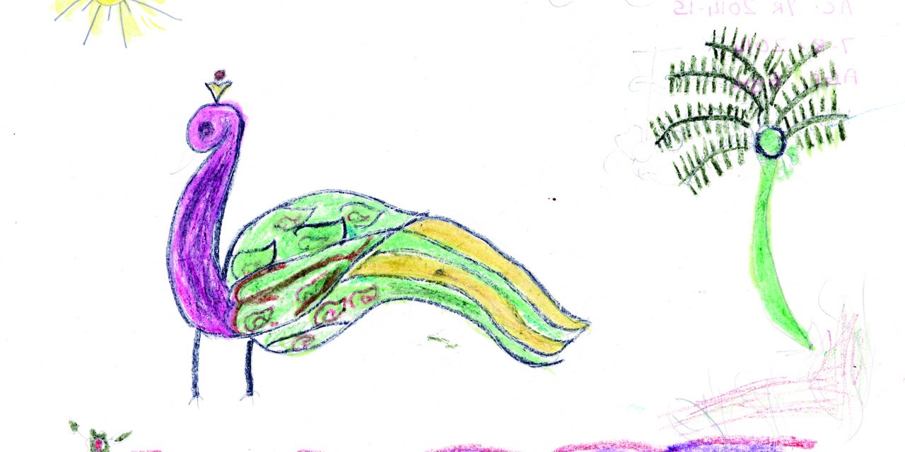 A peacock
