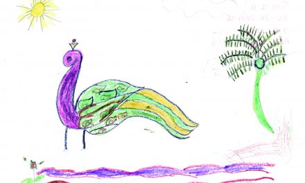 A peacock