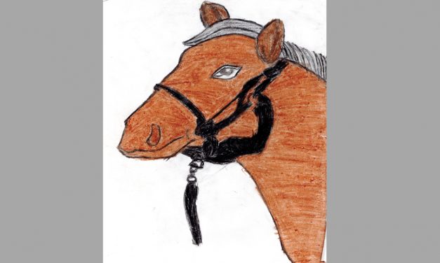 Majestic horse