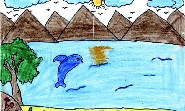 Dolphin’s life