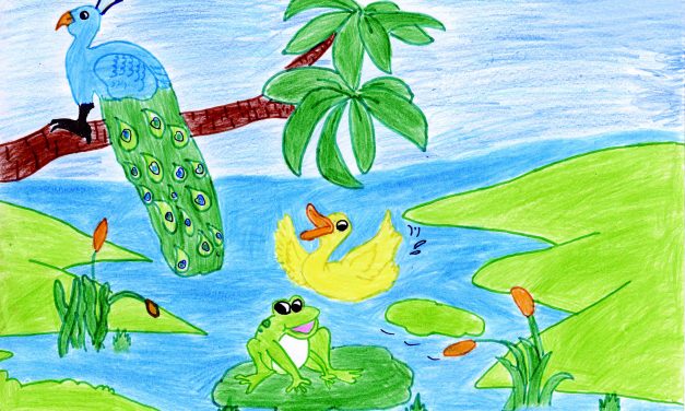 A pond