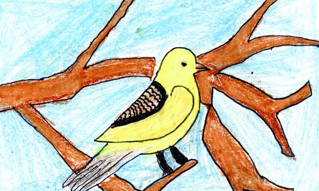 Bird on a branch