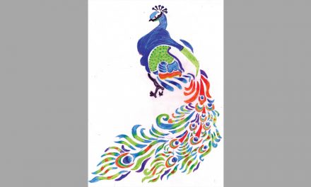 P is for Peacock