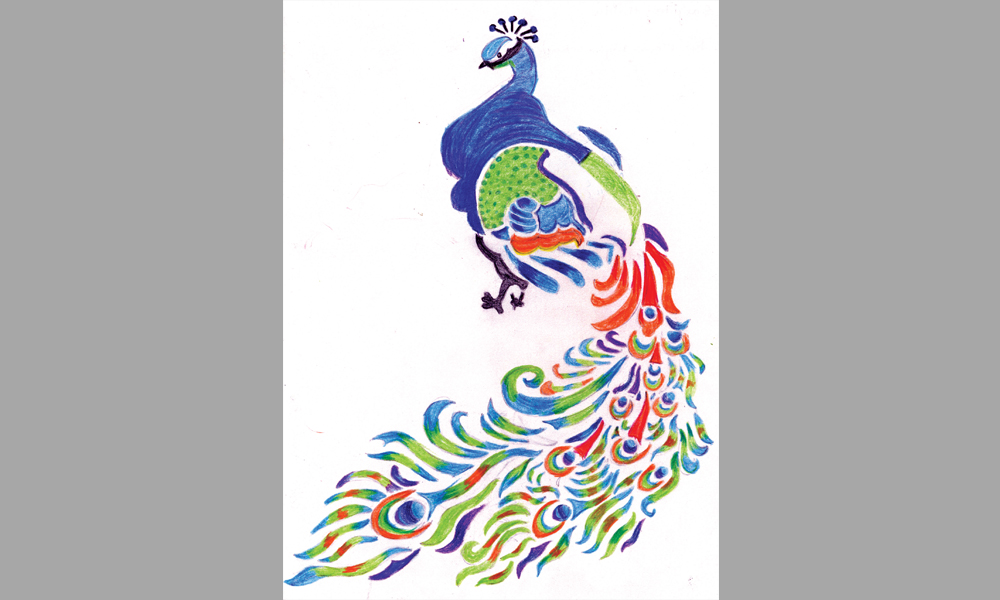 P is for Peacock