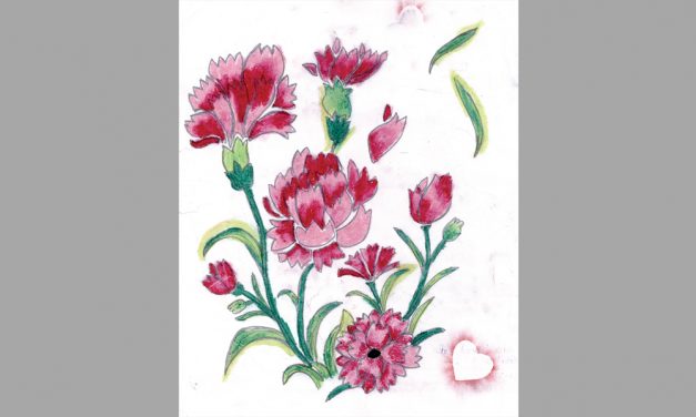Creative Carnations