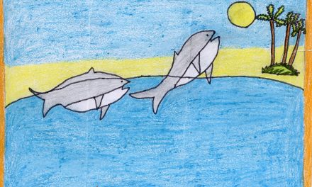 Dolphins near the coast