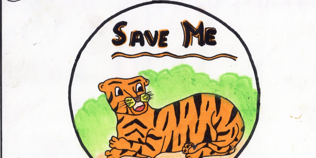 Save the tiger