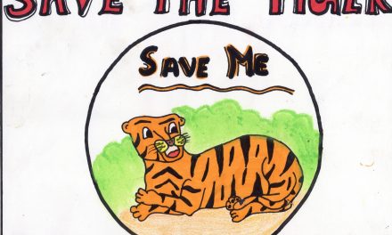 Save the tiger