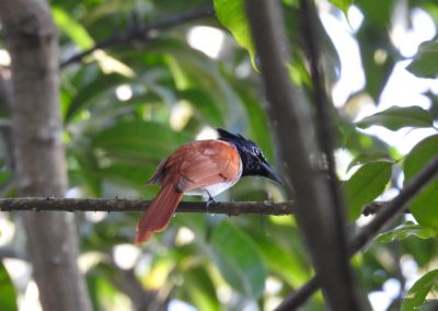 IMG-20191114-WA0020