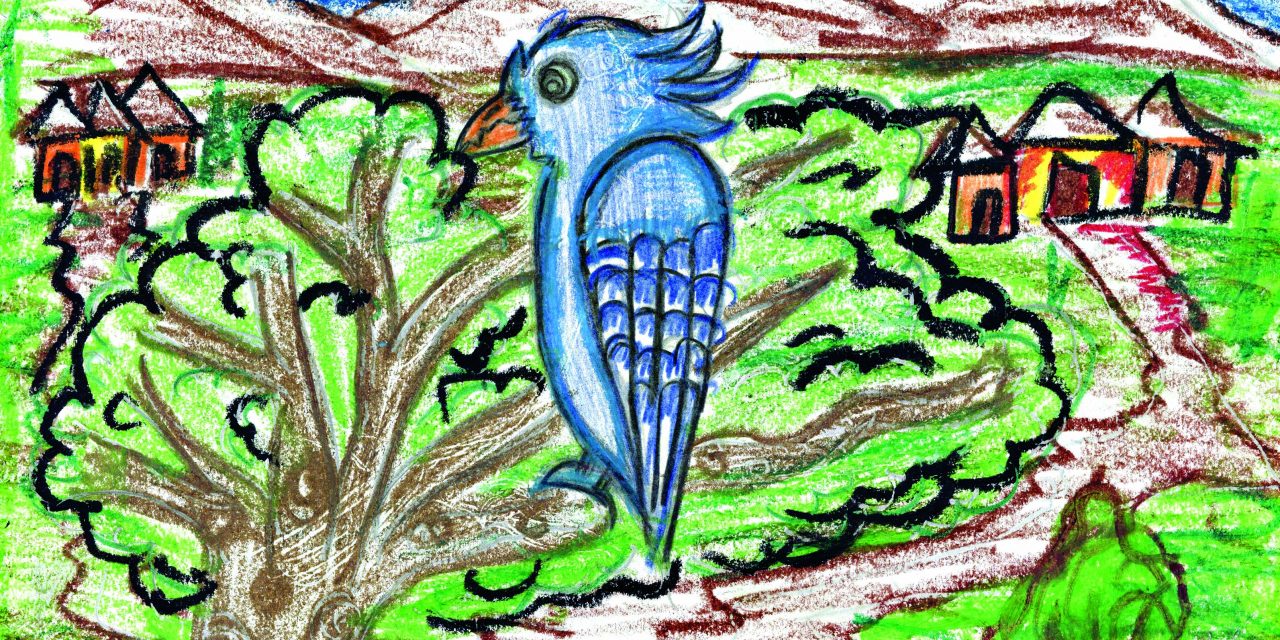 Blue Bird