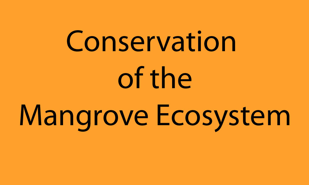 Conservation of the Mangrove Ecosystem