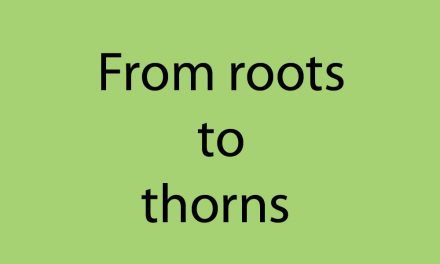 From roots to thorns