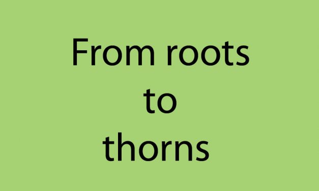 From roots to thorns