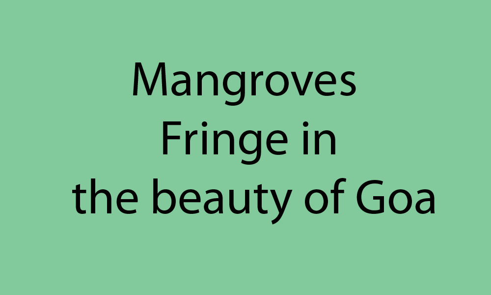 Mangroves:  Fringe in the beauty of Goa