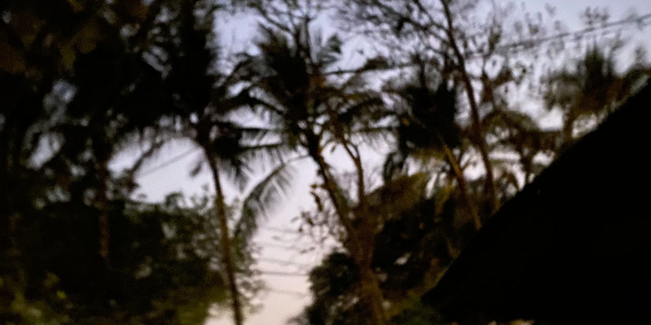 Snapshots