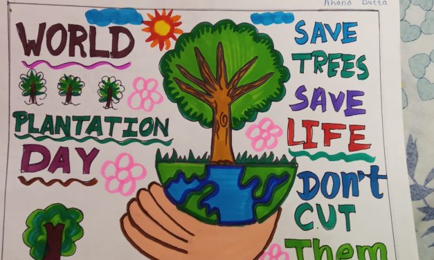 Save Trees