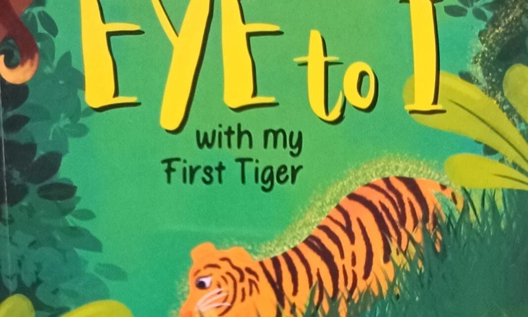 Pounce into adventure