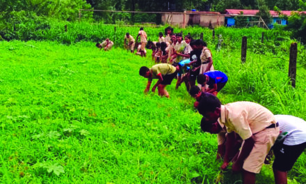 Cultivating healthy futures