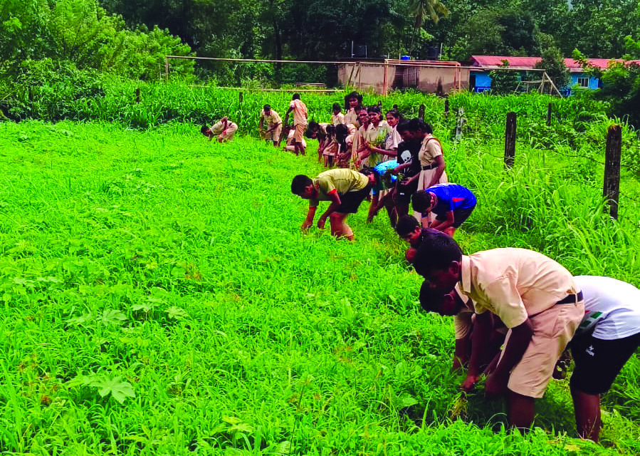 Cultivating healthy futures