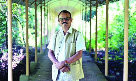 Tales from the jungle