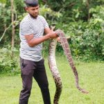 Goa’s green heroes