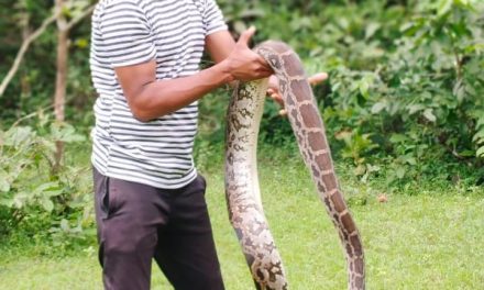 Goa’s green heroes