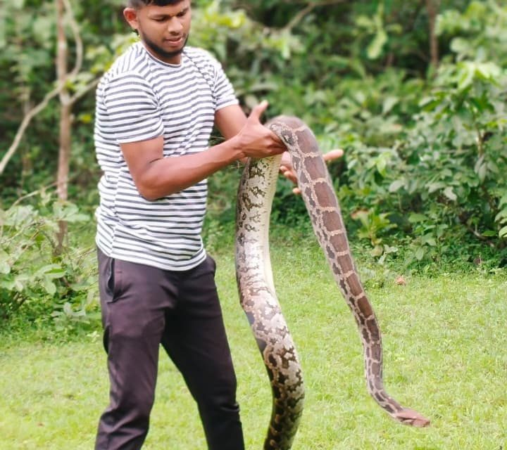 Goa’s green heroes