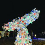 The art of coastal cleanup