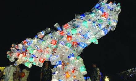 The art of coastal cleanup