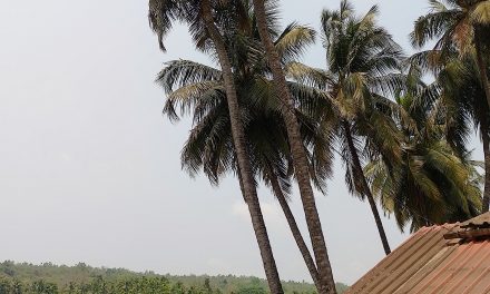 Serenity of Goa